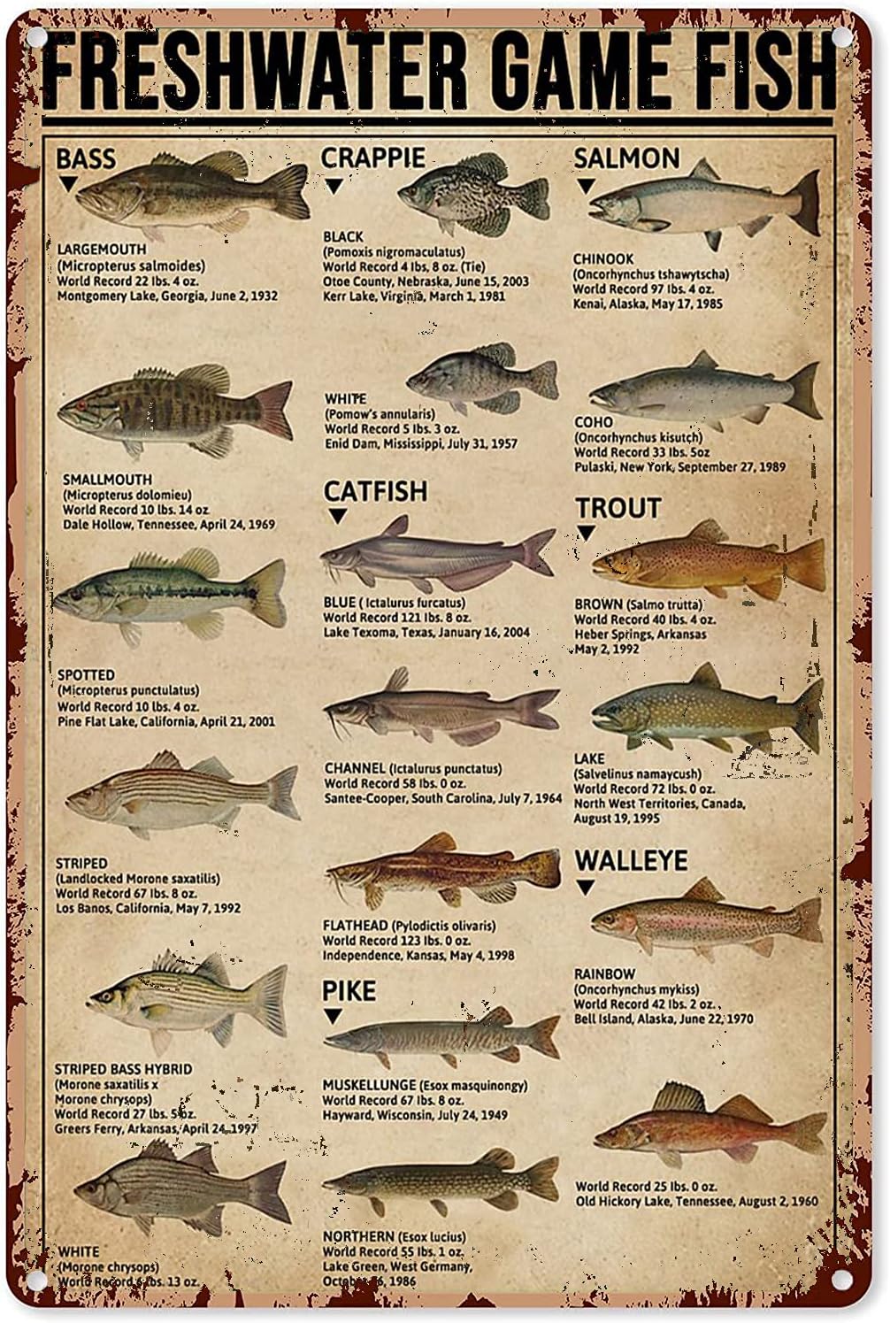 Home Decor Game - Y1, Pósteres de pesca, Letrero metálico,