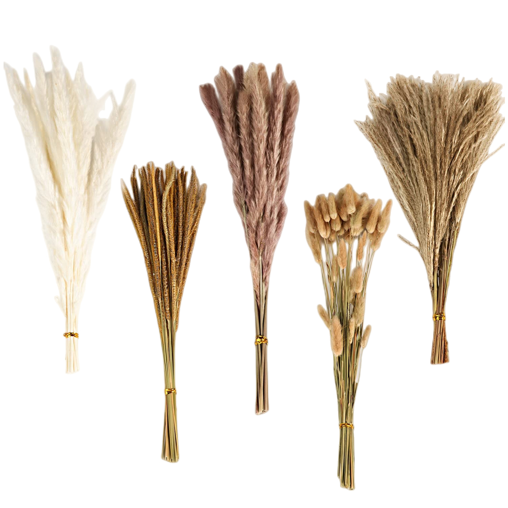 Pampas Grass Decor - Ramo de Flores Secas Mixtas Vintage
