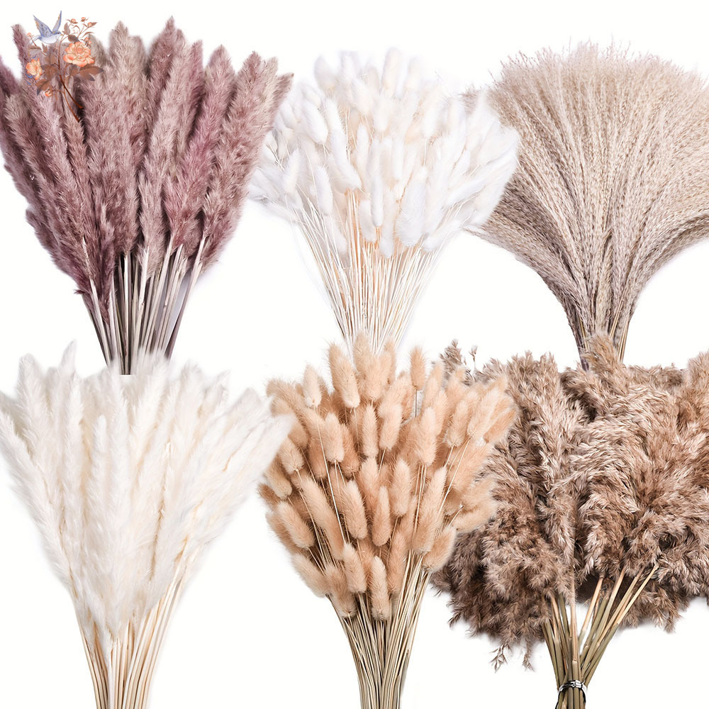 Pampas Grass Decor - 320 Piezas de Flores Secas Mixtas