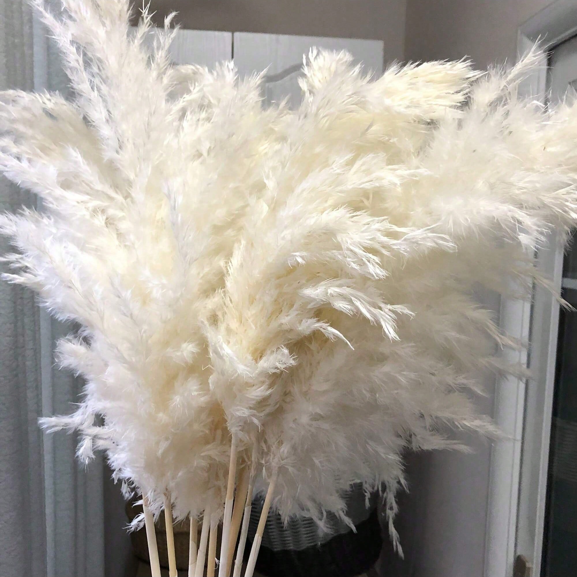 Pampas Grass Decor - 10/20/30 piezas de hierba de pampa