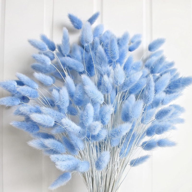 Pampas Grass Decor - 100 Uds. Cola de liebre azul
