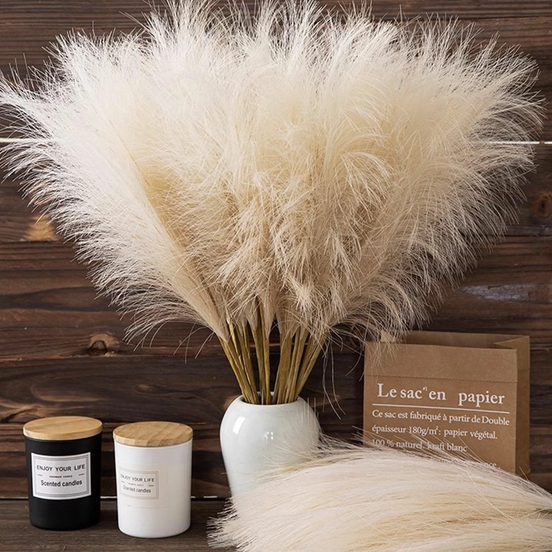 5 piezas/set de flores artific - Pampas Grass Decor reseña y precio