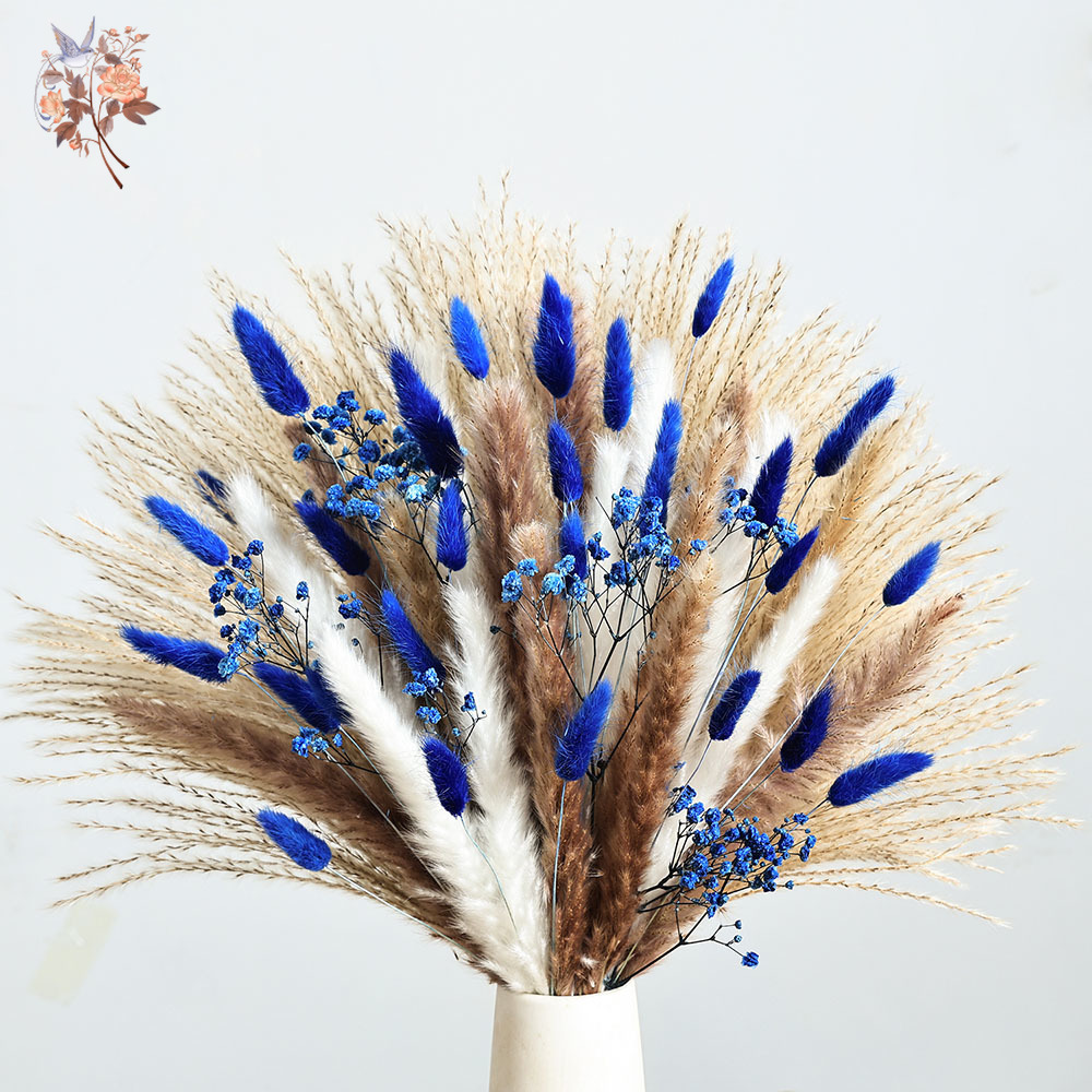 Cola de conejo esponjosa azul  - Pampas Grass Decor reseña y precio