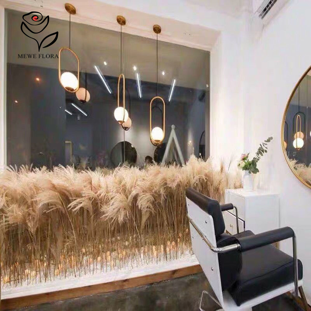 Ramo de flores de cañas esponj - Pampas Grass Decor reseña y precio