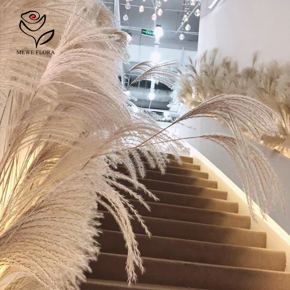 Ramo de flores de cañas esponj - Pampas Grass Decor reseña y precio