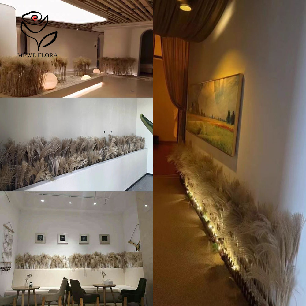 Ramo de flores de cañas esponj - Pampas Grass Decor reseña y precio