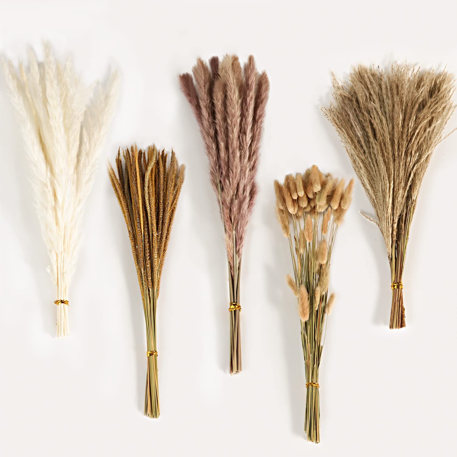 Ramo de Flores Secas Mixtas Vi - Pampas Grass Decor reseña y precio