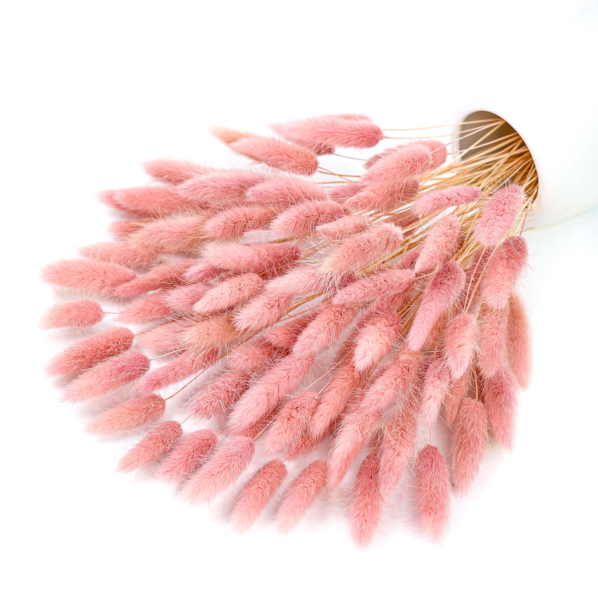 120 tallo rosa seco Pampas col - Pampas Grass Decor reseña y precio
