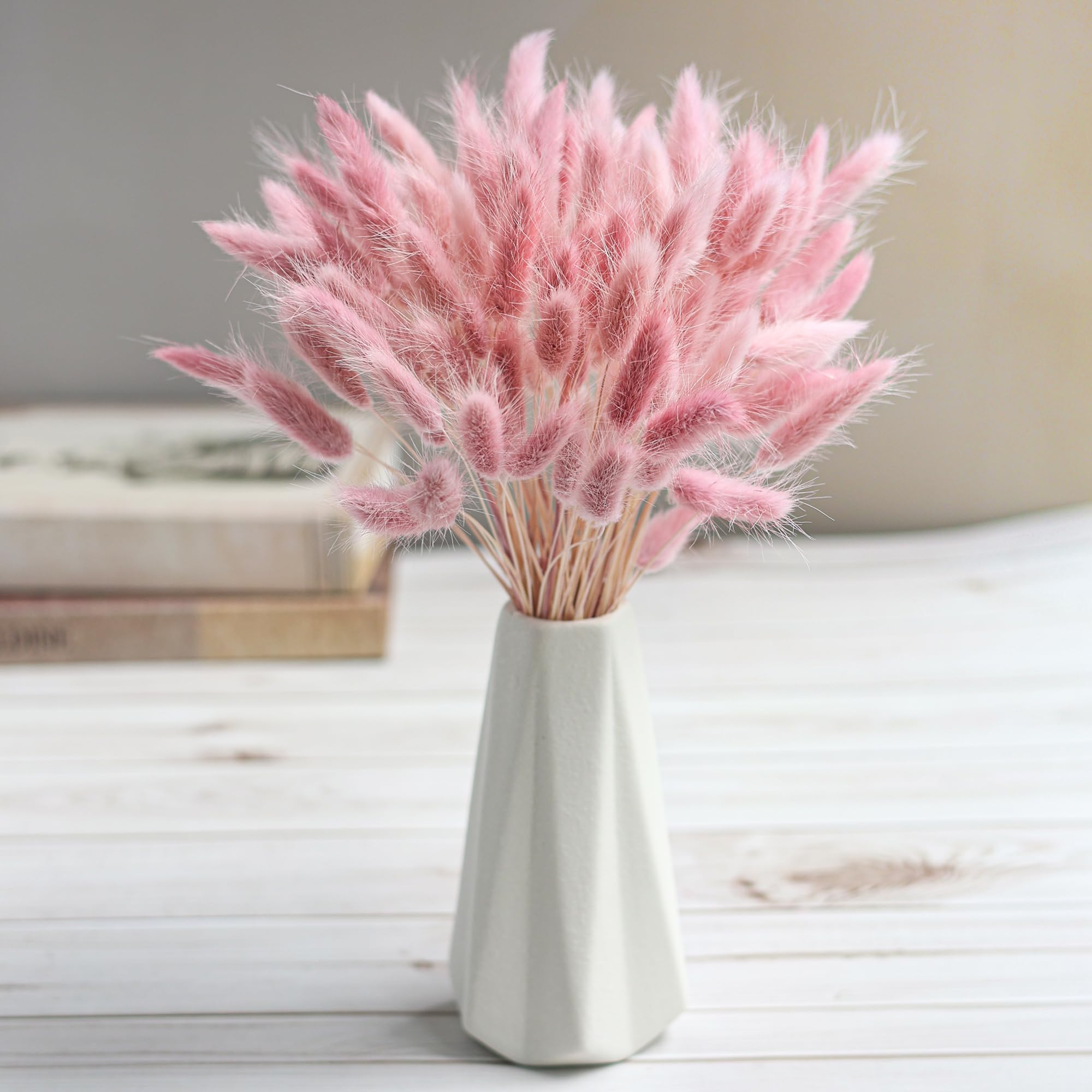120 tallo rosa seco Pampas col - Pampas Grass Decor reseña y precio