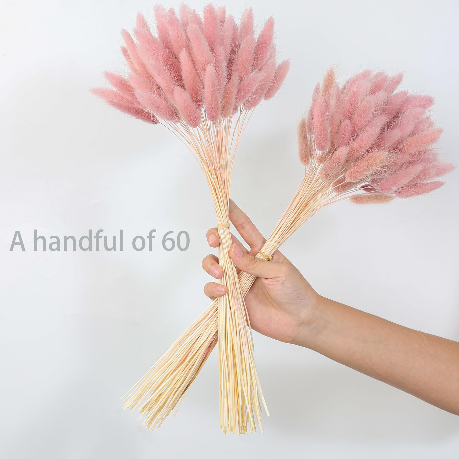 120 tallo rosa seco Pampas col - Pampas Grass Decor reseña y precio