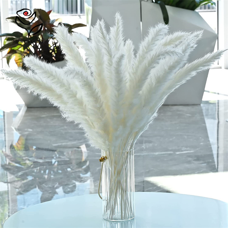 18 Tallos de Flores Secas Natu - Pampas Grass Decor reseña y precio