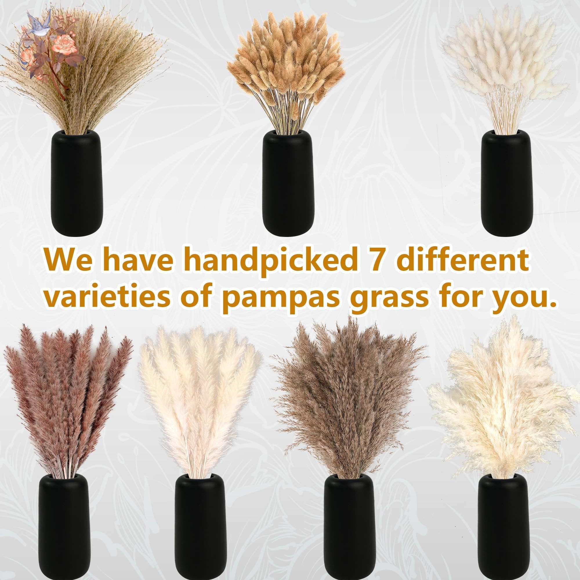 300 Uds. Ramos de flores secas - Pampas Grass Decor reseña y precio