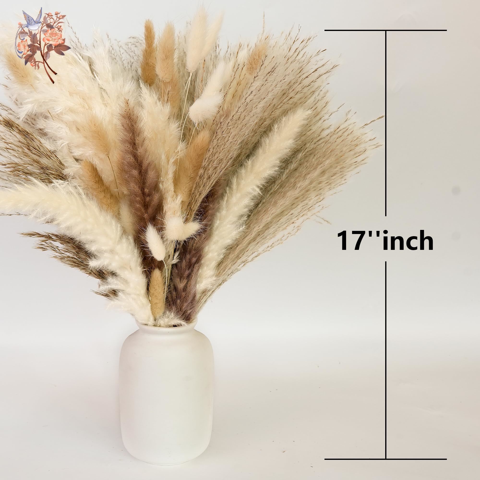 300 Uds. Ramos de flores secas - Pampas Grass Decor reseña y precio
