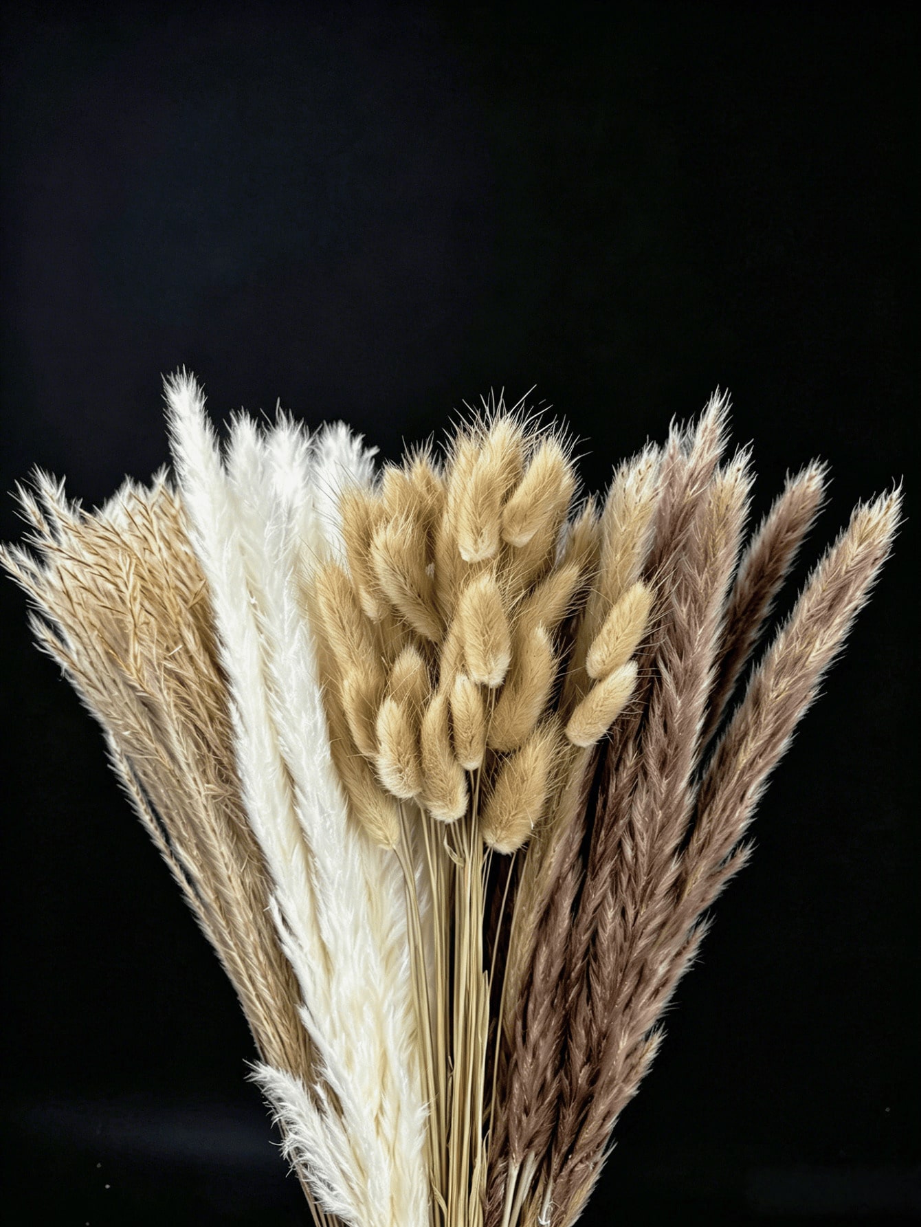 10/20/30 piezas de hierba de p - Pampas Grass Decor reseña y precio