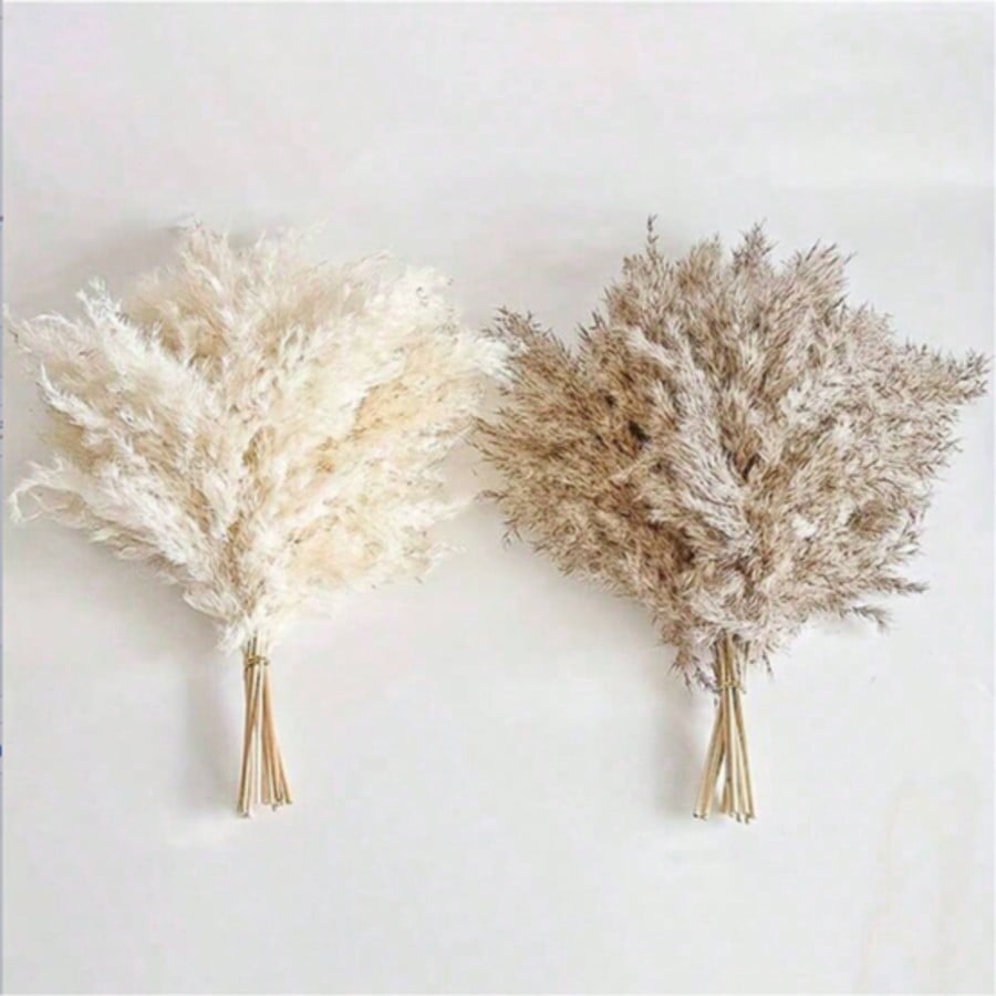 10/20/30 piezas de hierba de p - Pampas Grass Decor reseña y precio