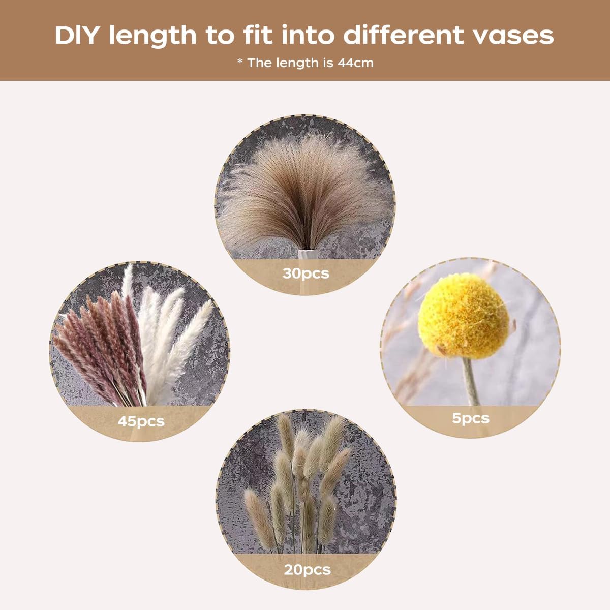 Ramo de Hierba de Pampas Seca, - Pampas Grass Decor reseña y precio