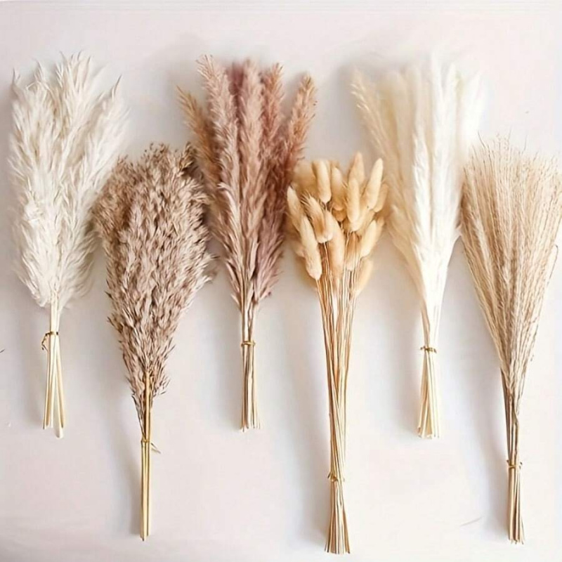 Ramo de 110 piezas de hierba d - Pampas Grass Decor reseña y precio