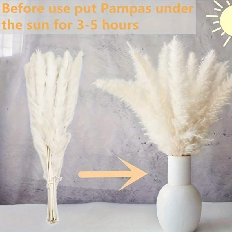 Ramo de 110 piezas de hierba d - Pampas Grass Decor reseña y precio