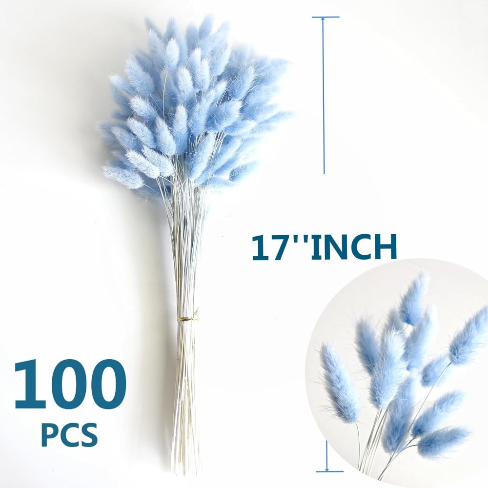 100 Uds. Cola de liebre azul h - Pampas Grass Decor reseña y precio
