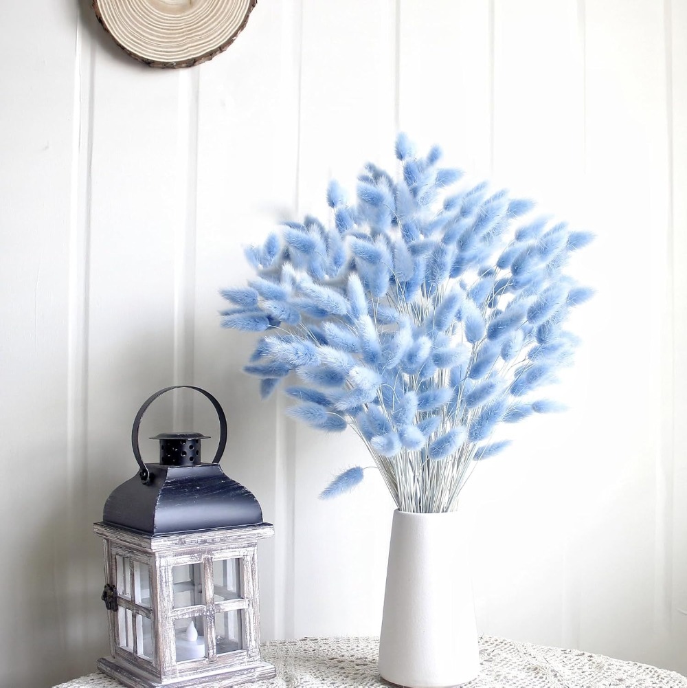 100 Uds. Cola de liebre azul h - Pampas Grass Decor reseña y precio