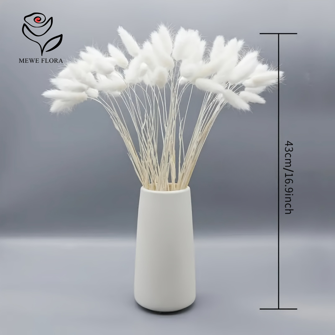 150 Uds. Colas de conejo espon - Pampas Grass Decor reseña y precio